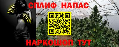 дмт Рыбинск