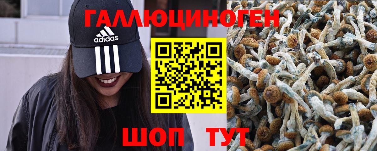 Галлюциногенные грибы Magic Shrooms Отрадное
