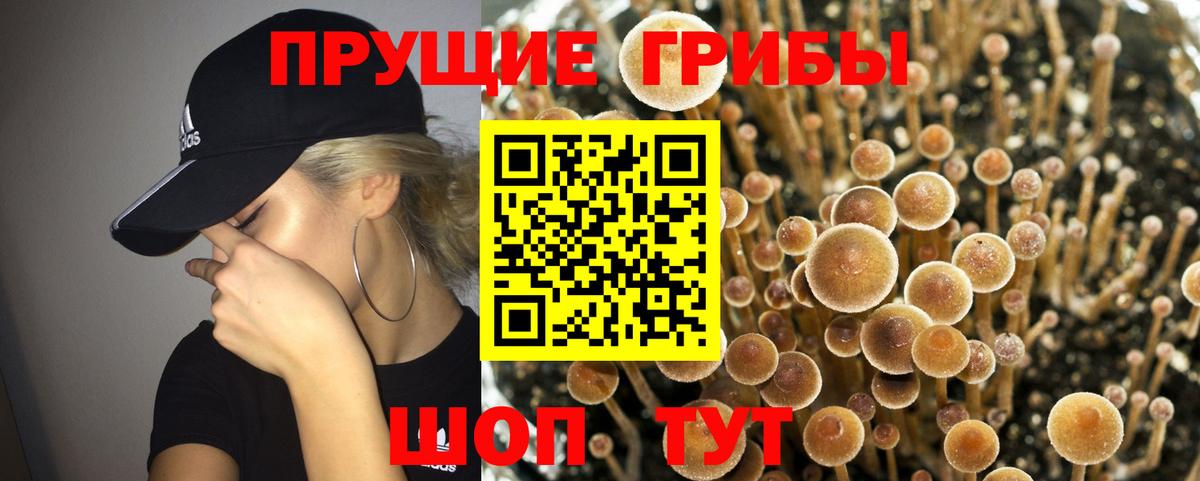 Отрадное  Галлюциногенные грибы Magic Shrooms  купить закладку  Галлюциногенные грибы ЛСД  Вход с VPN 